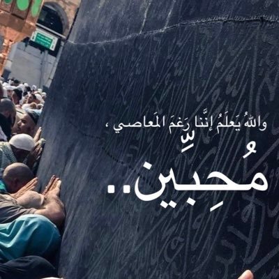 omarqayed11's profile picture
