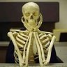 Mr. McGillicutty's profile picture