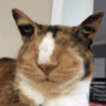 Xivia From HR's profile picture