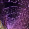 ゴンゴン 的头像