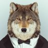 Zemuca's profile picture