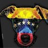 MP's profile picture
