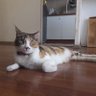 Coni profil fotoğrafı