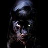 Profilbild von richgame