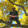 Profilbild von Agri-voltaic Solar Joe