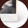 Profilbild von Luna