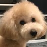 shige 🇺🇦's profile picture