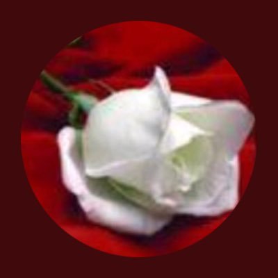 LoloLolomohmed2's profile picture