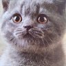 Profilbild von flo 🖤