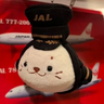 777しろたん✈︎ profil fotoğrafı