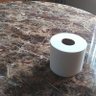 Фото профиля talking toilet paper