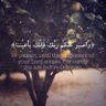س .'s profile picture
