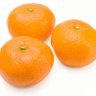 みかんちゃん。25🍊雑談垢 profil fotoğrafı