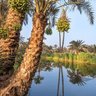 Фото профиля صعيدي حر