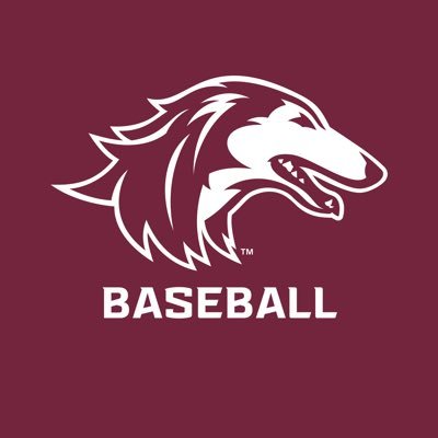 SIU_Baseball's profile picture