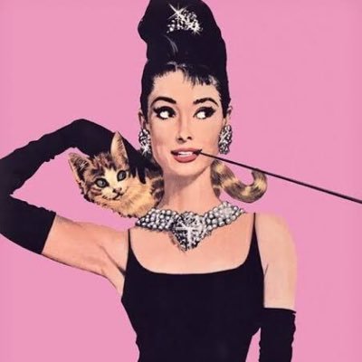 MaithiliMuses's profile picture
