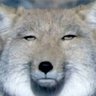 よしまろ's profile picture