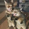 AntonioJT profil fotoğrafı