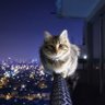 なん銀()'s profile picture