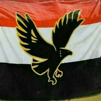 Just_Ahly07's profile picture