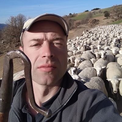 jordi navarra torres's profile picture