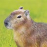 花田花太郎 profil fotoğrafı