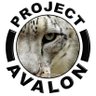 Project Avalon Forum 的头像
