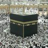 محمد عبد المنعم's profile picture