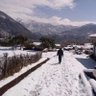 Hari D Pokhrel profil fotoğrafı