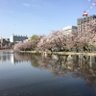Фото профиля やすらか