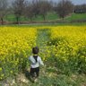 Khurram Malik profil fotoğrafı