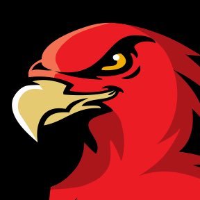 Illawarra Hawks Basketball's profile picture