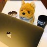Profilbild von InokumaTaiji