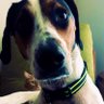 Фото профиля TwitchyLexLuthor