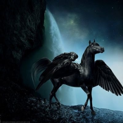 bladistic's profile picture