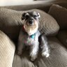 Kathryn Baker's profile picture