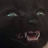 Profilbild von Indigo