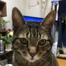 kitayandesu1128 profil fotoğrafı