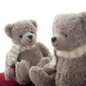 ももたろう🐻 的头像