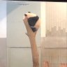 rio_fks 的头像