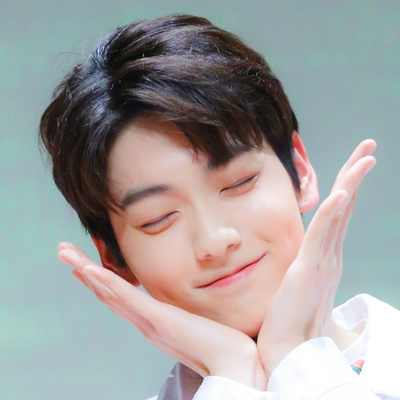 choisoobinnet's profile picture