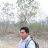 PIUduck's profile picture