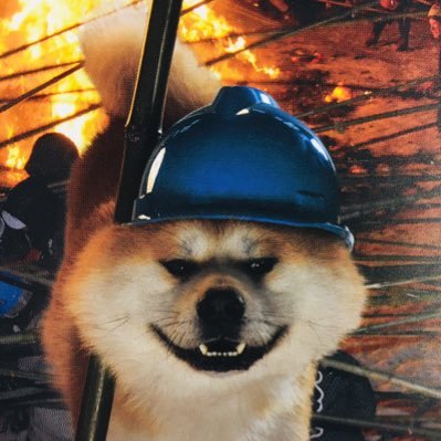 ichiba_mate's profile picture