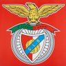 Profilbild von Francisco Magarreiro