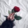 ifatma's profile picture