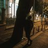 Ahmetcan's profile picture