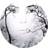 Nadia's profile picture