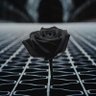 Фото профиля Abdelhe aldhaher