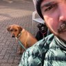 Marc Buchanan's profile picture