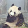 みーみ2018 的头像